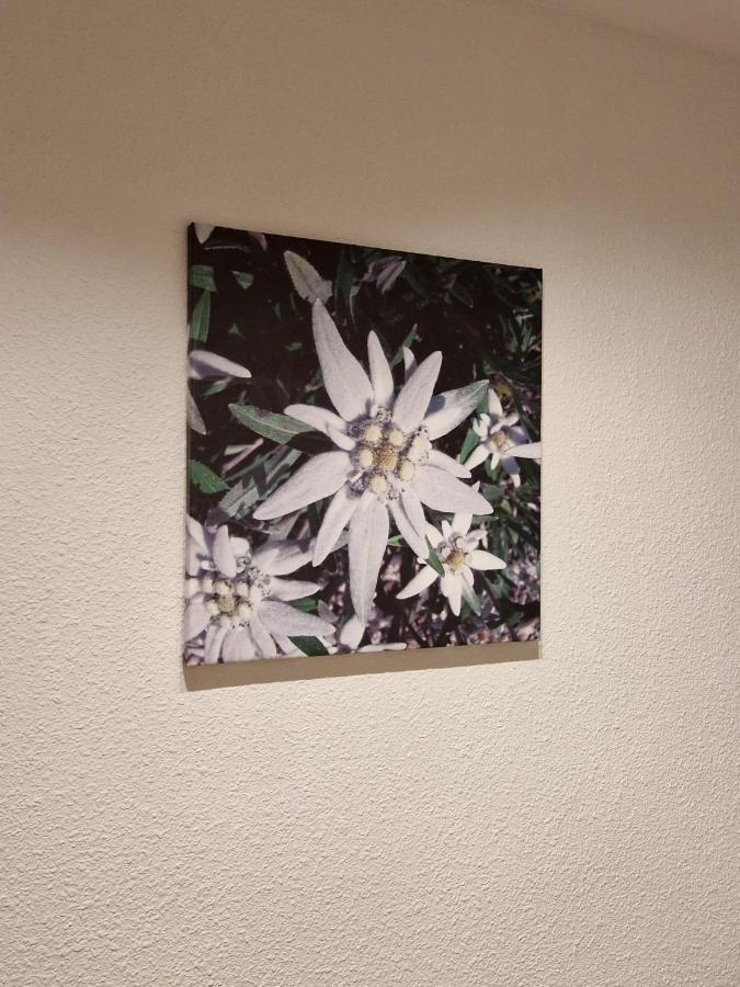 ハカFlor De Nieveアパートメント エクステリア 写真